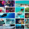 Combo de Actividades #8: Tour Bahía en Pontón + Yate Rumba + Buceo en San Andrés Islas (3 Tours)