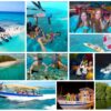 Combo de Actividades #18: Parasail + Noche Blanca + Tour VIP a Acuario, Haynes Cay, Johnny Cay, Manglares (3 Tours)