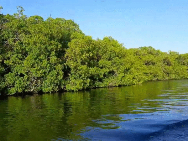 Tour VIP 2x1 en San Andrés Islas