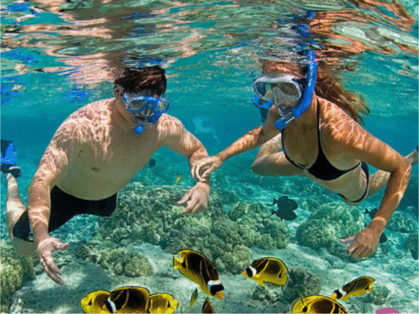 Tour VIP 2x1 en San Andrés Islas