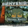Combo de actividades #3: Tour a Guatapé + Tour a Hacienda Napoles (2 Tours)