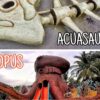 Combo de actividades #3: Tour a Guatapé + Tour a Hacienda Napoles (2 Tours)