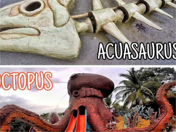 Combo de actividades #3: Tour a Guatapé + Tour a Hacienda Napoles (2 Tours)