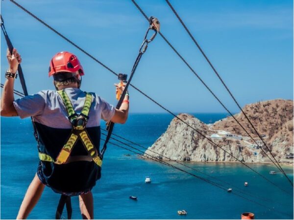 Acuario con show de delfines + Playa Blanca 2x1 en Santa Marta