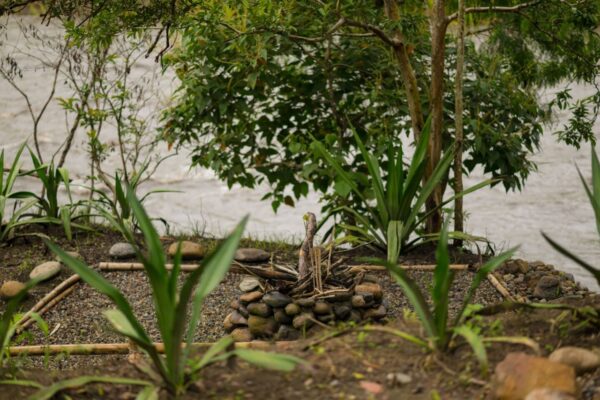 Rivabella Ecolodge