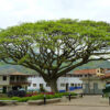 Excursion a Jardin, Antioquia