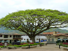 Excursion a Jardin, Antioquia