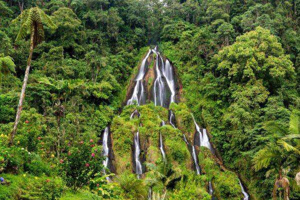 Colombia Total: Explora Bogotá, Eje Cafetero, Medellín, Cartagena y Santa Marta