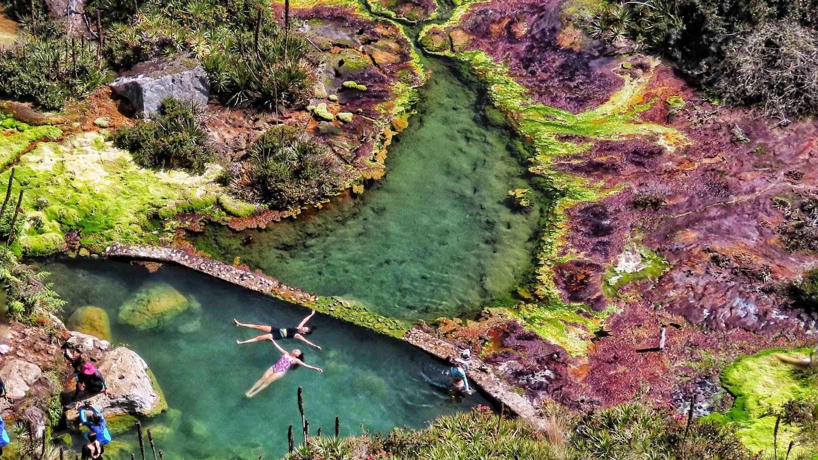 Parque Nacional Natural Los Nevados - Colombia Total Experience
