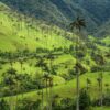 Colombia Total: Explora Bogotá, Eje Cafetero, Medellín, Cartagena y Santa Marta