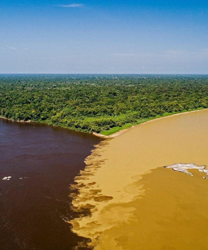 Estrella Fluvial de Inírida y delfines de río