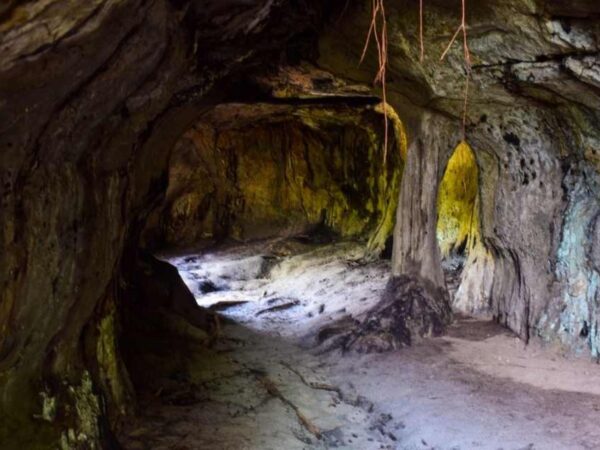 Aventura Guaviare: Rios, Arte Rupestre, Túneles Naturales, Laguna Negra y Puerta de Orión (4D/3N)