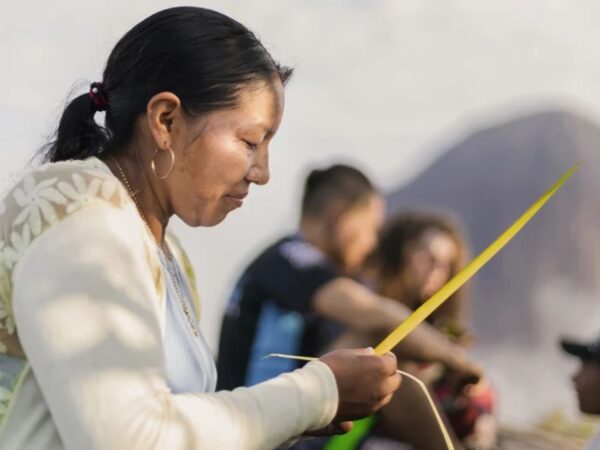 Expedición Guainía 5 días · 4 noches Cerros de Mavecure, comunidades indígenas y Estrella Fluvial del Orinoco con Aventureros 360 4 Expedición Guainía 5 días y 4 noches | Cerros de Mavicure