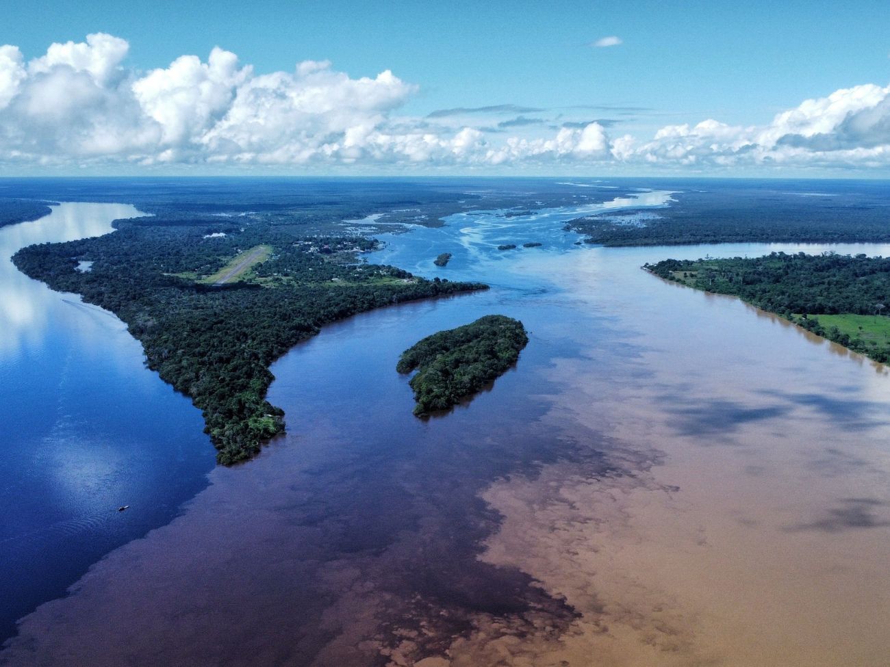 Estrella Fluvial de Inírida