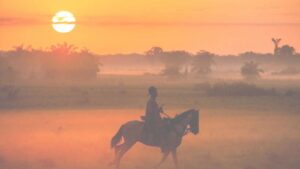 Acuario con show de delfines + Playa Blanca 2x1 en Santa Marta