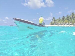 Acuario con show de delfines + Playa Blanca 2x1 en Santa Marta