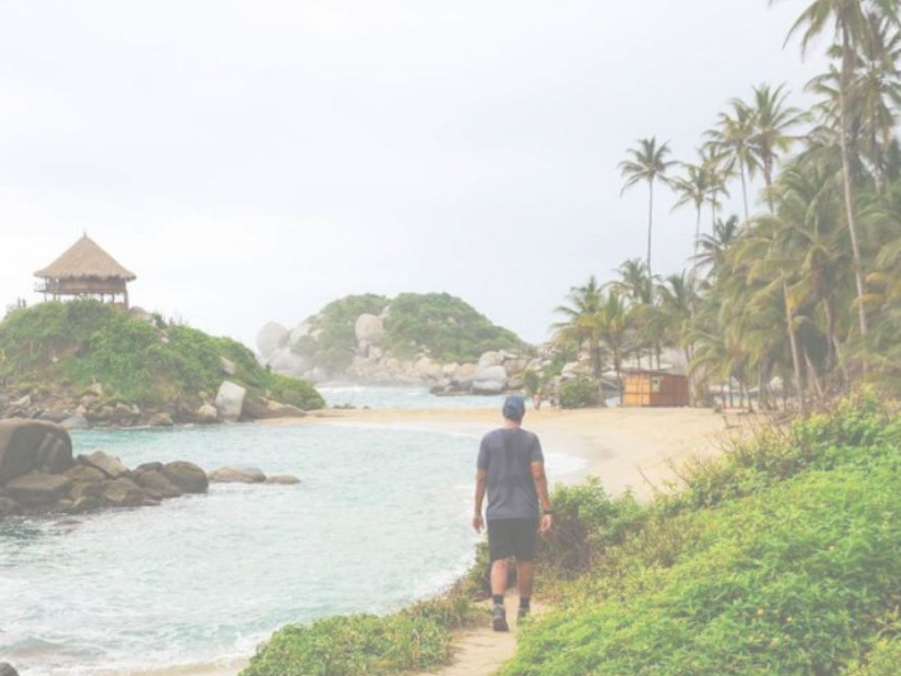 Acuario con show de delfines + Playa Blanca 2x1 en Santa Marta