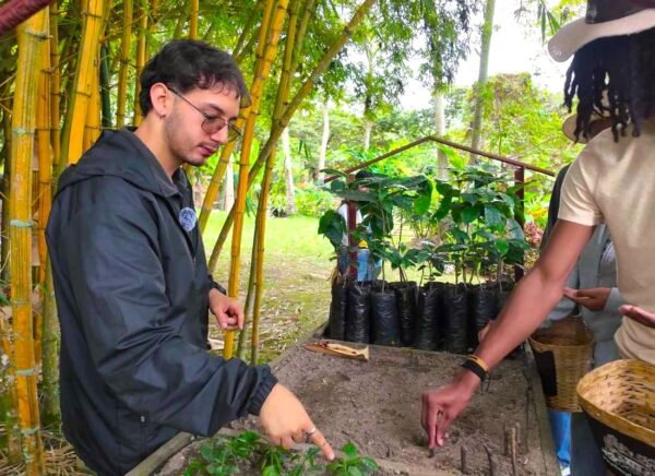 Tour del Café en Hacienda Cafetera