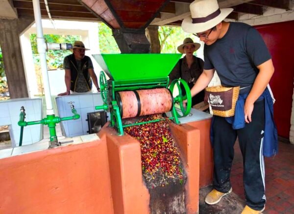 Tour del Café en Hacienda Cafetera