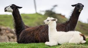 Tour por Boyaca 4 días