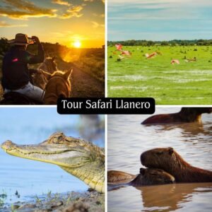 Tour Safari llanero 3 días
