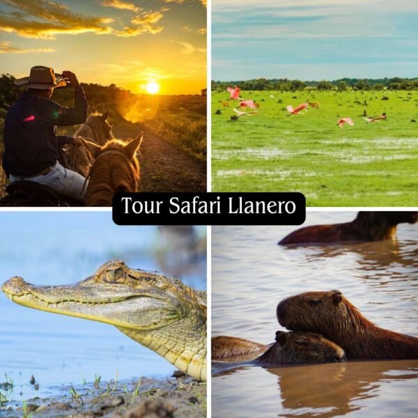 Tour Safari llanero 3 días