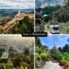 Tour a Monserrate