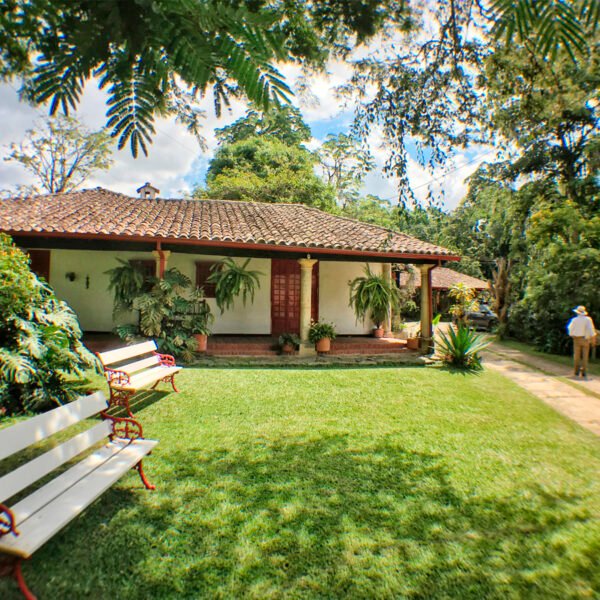 Tour del Café en Hacienda Cafetera