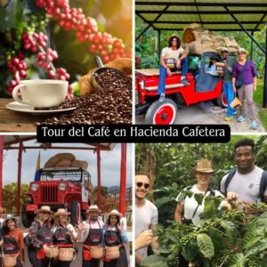 Tour del Café en Hacienda Cafetera
