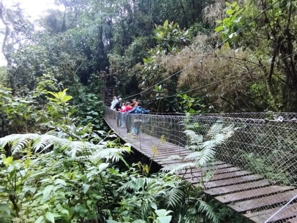 Tour a la Cascada más alta de Colombia La Chorrera