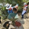 Tour Eje Cafetero 4 días