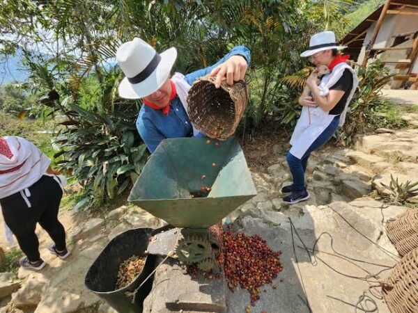 Tour Eje Cafetero 4 días