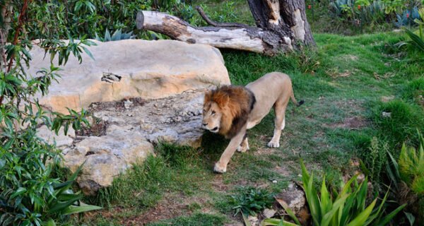 Tour por Boyaca 4 días