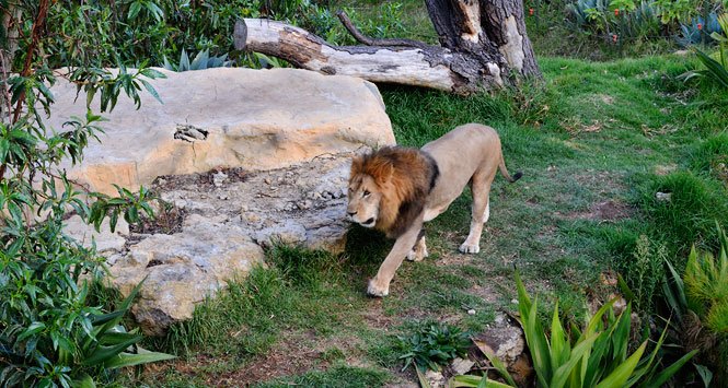 Bioparque Guátika en Boyacá
