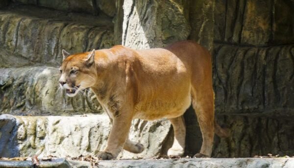 Tour al Parque Jaime Duque