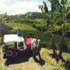 Tour Eje Cafetero 4 días