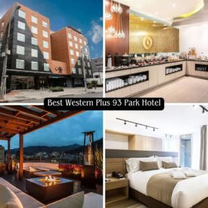 Hotel Best Western Plus 93 Best Western Plus 93 Park Hotel <span style="color:#d4af37;">★★★★</span>