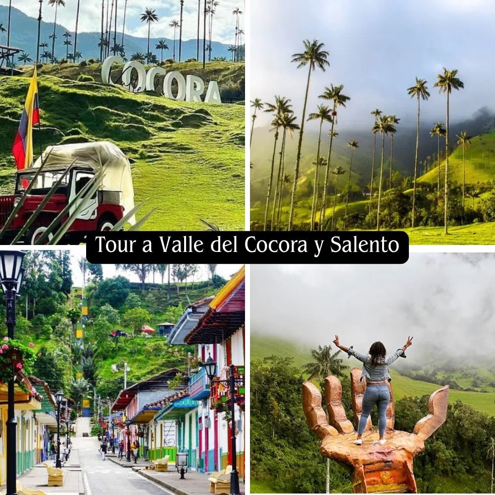 Valle de Cocora y Salento