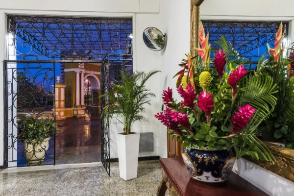 flores dorado plaza Hotel Dorado Plaza Centro Histórico <span style="color:#d4af37;">★★★</span>