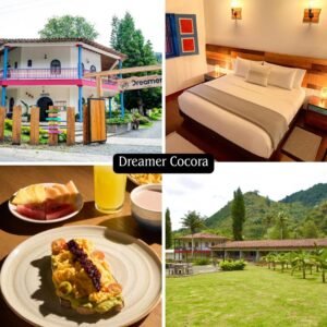Dreamer Cocora <span style="color:#d4af37;">★★★</span>