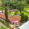 Garden cocora Dreamer Cocora <span style="color:#d4af37;">★★★</span>