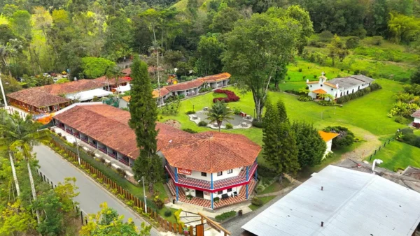 Garden cocora Dreamer Cocora <span style="color:#d4af37;">★★★</span>