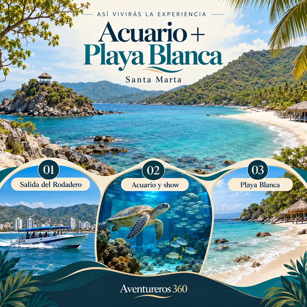 Itinerario ilustrado de Acuario con Show de Delfines + Playa Blanca en Santa Marta