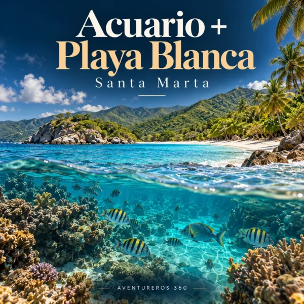 Ilustración de Acuario con Show de Delfines + Playa Blanca en Santa Marta · Medellín y Santa Marta