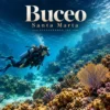 destinos-7057-portada Ilustración de Buceo en Santa Marta · Medellín y Santa Marta