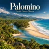 Ilustración de Tour a Palomino desde Santa Marta · Medellín y Santa Marta
