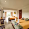 Hotel Boutique Palmas de Salento <span style="color:#d4af37;">★★★</span>