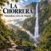 Ilustración de la Cascada La Chorrera entre el bosque andino cerca de Bogotá
