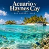 Ilustración de Acuario Natural y Haynes Cay en San Andrés · San Andrés
