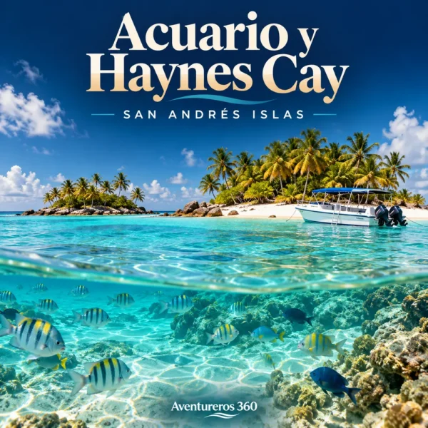 Ilustración de Acuario Natural y Haynes Cay en San Andrés · San Andrés